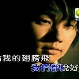 天空的翅膀原唱资源图片