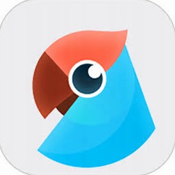 兔子声音免费下载资源图片