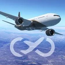 infinite flight beta资源图片
