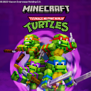 tmnt splintered fate资源图片