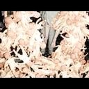 安抚 英文资源图片