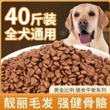 狗粮排名前十品牌资源图片