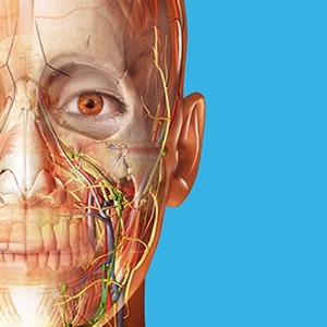 真实医疗模拟器电脑版下载资源图片