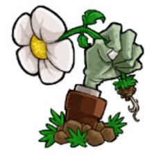 植物大战僵尸e版支线1.97手机版下载资源图片