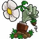 植物大战僵尸lz重制版pc修改器资源图片