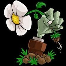 植物大战僵尸无名版修改器下载资源图片