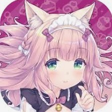 猫娘乐园动漫资源图片
