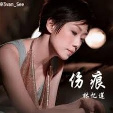 伤痕 英文资源图片