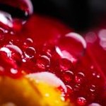水滴石穿资源图片