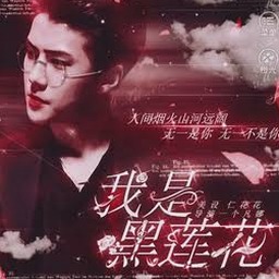 我是黑莲花电视剧免费观看资源图片